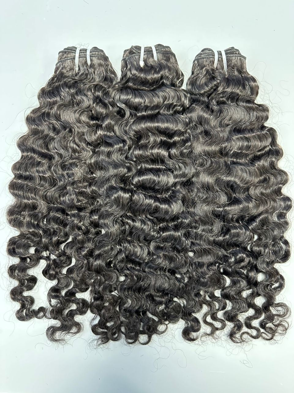 Burmese Virgin Bundle